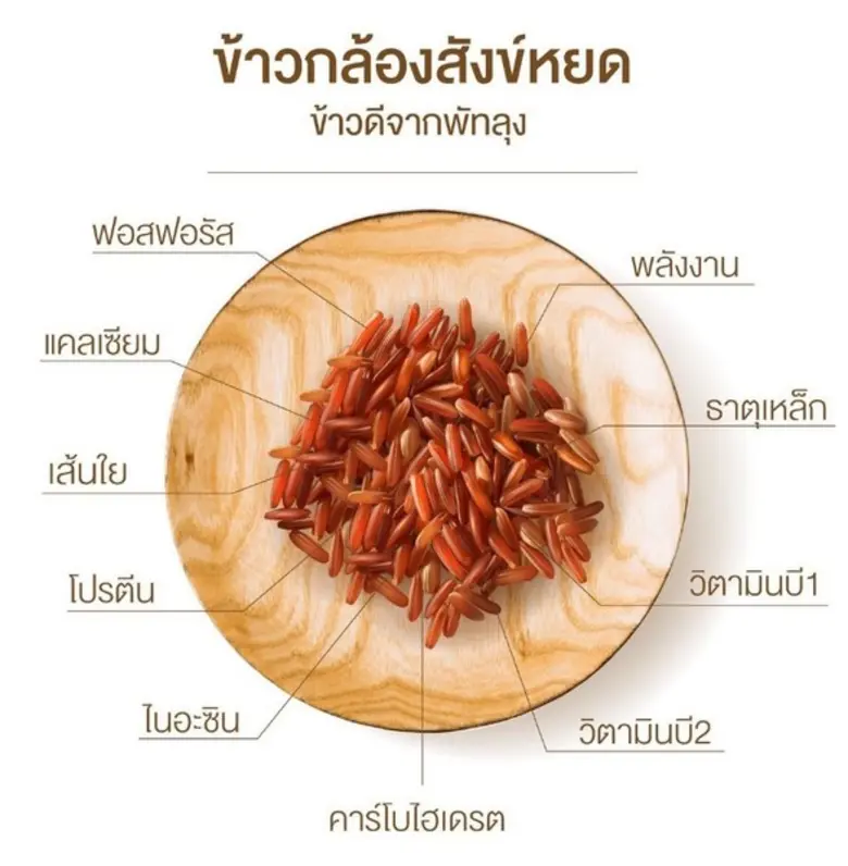 “ป.ปั้นสยาม” เผยโมเดลธุรกิจ “ขนมปั้นขลิบทอด” เน้นระบบค้าส่งสร้างอาชีพเสริมให้กับสมาชิก