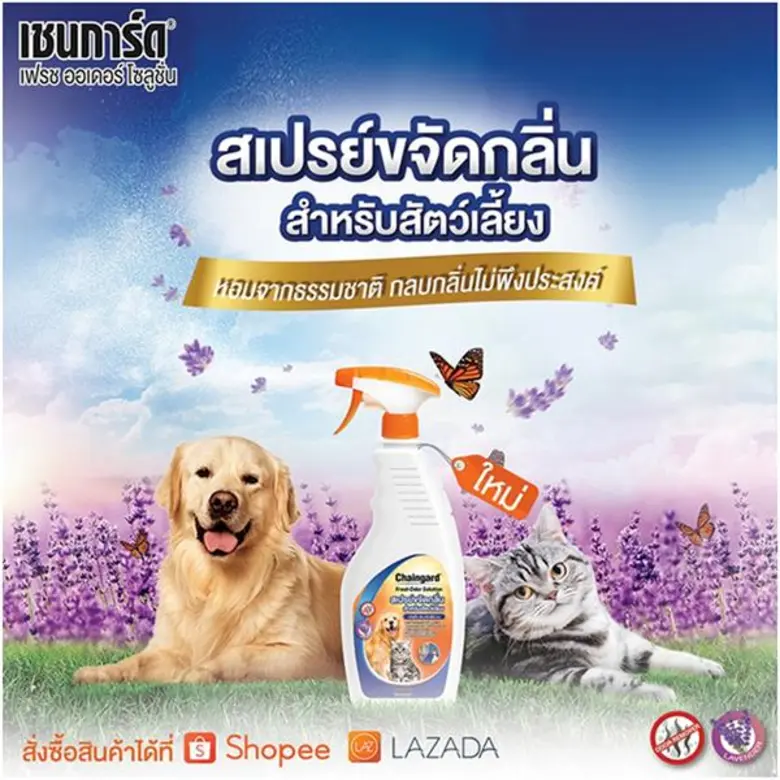 ”เชนการ์ด” บุกตลาดเพิ่มช่องทาง - ขยายฐานลูกค้าใหม่ๆ ด้วย e-commerce  เสริมความแกร่งโตแบบก้าวกระโดดด้วยกลยุทธ์การตลาด360