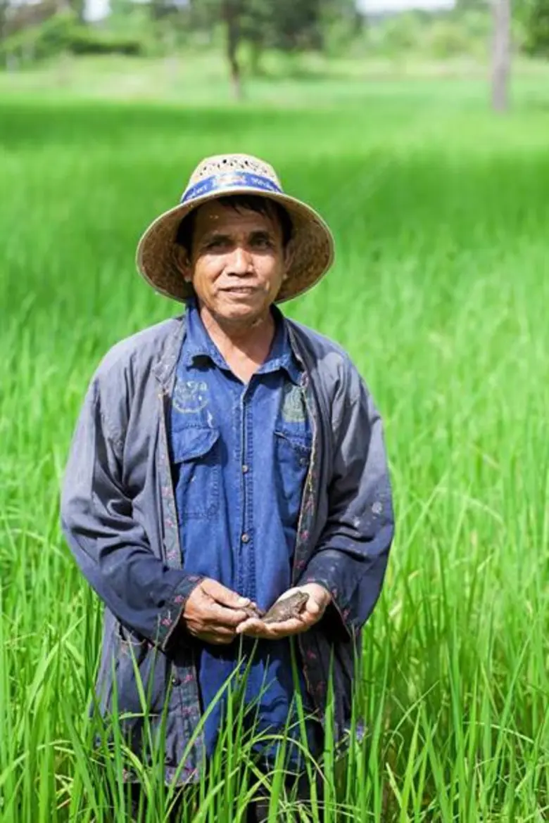 ปราชญ์เกษตรอินทรีย์บ้านโนนยาง ศูนย์เครือข่ายปราชญ์ชาวบ้าน เพื่อเกษตรกรรมที่ยั่งยืน