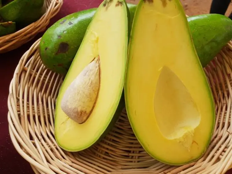 กรมวิชาการเกษตร โชว์อาโวกาโดพันธุ์ดีจากผล...