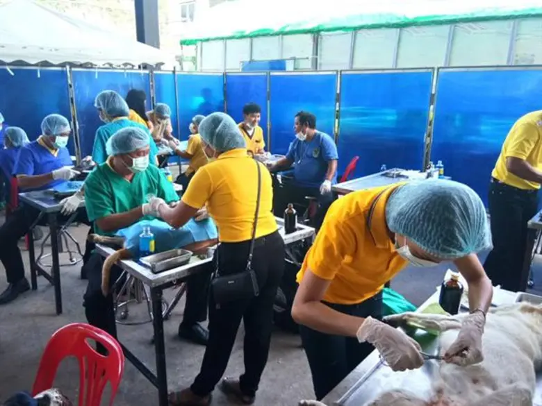 กรมปศุสัตว์จัดกิจกรรม“ปศุสัตว์เคลื่อนที่เฉลิมพระเกียรติ” ในพื้นที่10 จว.ทั่วประเทศ