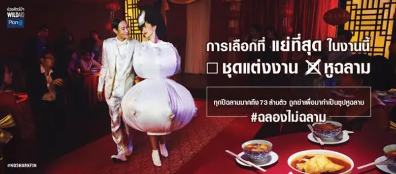 องค์กรไวล์ดเอด (WildAid) ร่วมกับบริษัทแพล...