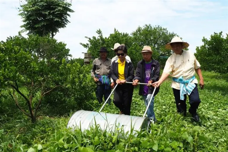 นางสาววรรณพร ดอกจำปา ผู้ตรวจราชการกรม เป็นประธานการ...