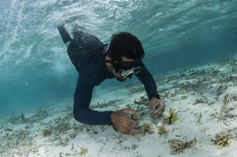 เตรียมตัวสัมผัสประสบการณ์ 8 สิ่งมหัศจรรย์แห่งมัลดีฟส์