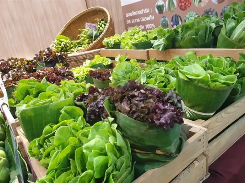 ก.พาณิชย์ ปลื้มงานแสดงสินค้าอินทรีย์นานาชาติ BIOFACH Southeast Asia 2019 สำเร็จเกินเป้า