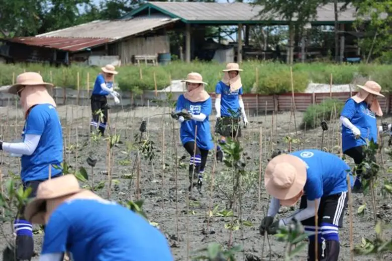 ไทยซัมซุงประกันชีวิตและซัมซุงประกันชีวิต เดินหน้าปลูกป่าชายเลนถาวร กับโครงการ Green Global Project...We love Thailand ครั้งที่ 12