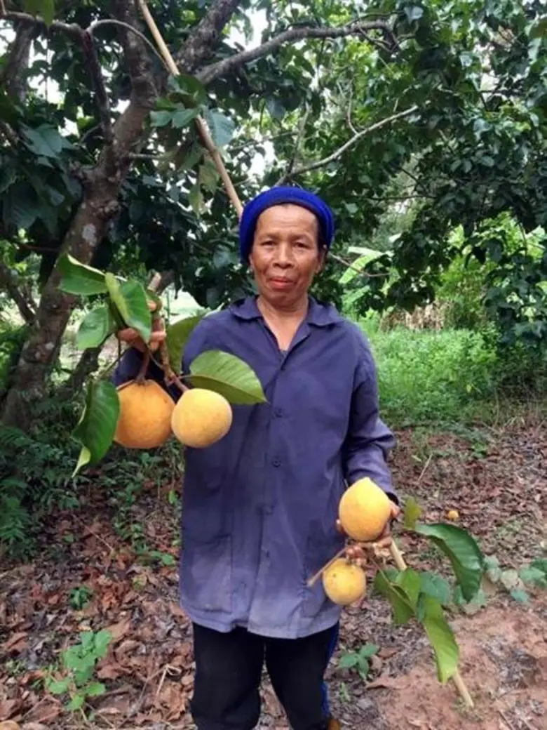 ซีพีเอฟ ปันน้ำจากฟาร์มสุกรและโรงงาน ช่วยเกษตรกรฝ่าวิกฤติภัยแล้ง