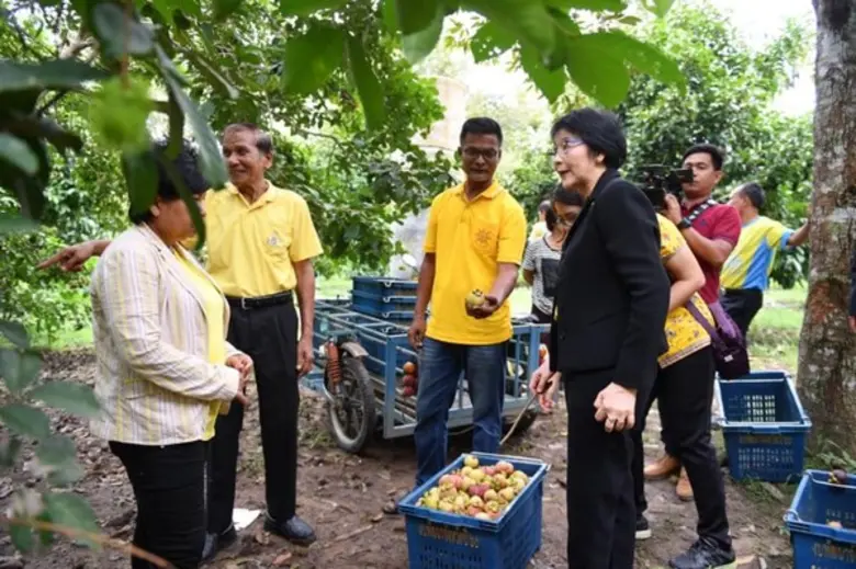 มกอช. พบปะเกษตรกรกลุ่มผู้ผลิตไม้ผลมังคุดแบบเกษตรแปลงใหญ่ นครศรีธรรมราช