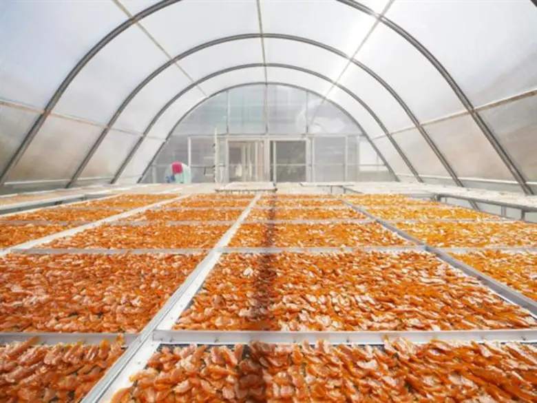 โครงการสนับสนุนการลงทุนติดตั้งใช้งานระบบอบแห้งพลังงานแสงอาทิตย์ (พาราโบล่าโดม) ปี 2562