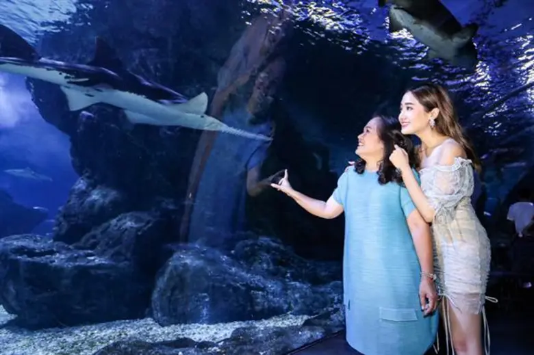 ซีไลฟ์ แบงคอก ส่ง “Message from the Sea…บอกรักจากท้องทะเล” ชวนทุกครอบครัวร่วมสร้าง 'ช่วงเวลาคุณภาพ’ ให้พ่อแม่อบอุ่นใจไปด้วยกัน