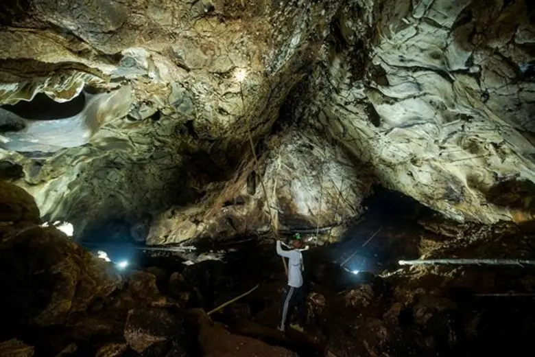 รังนกดีกับผิวพรรณ เพิ่มภูมิคุ้มกัน โดย นพ.ไพศิษฐ์ ตระกูลก้องสมุท