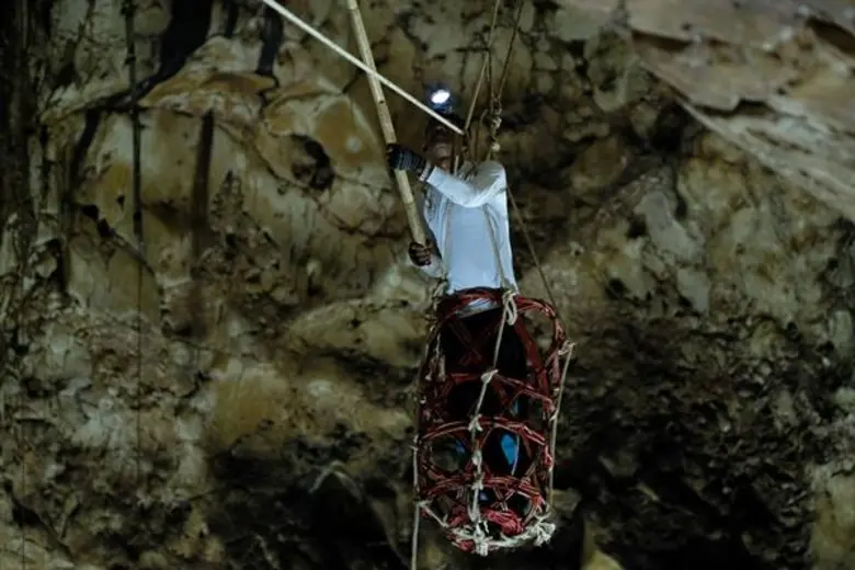 รังนกดีกับผิวพรรณ เพิ่มภูมิคุ้มกัน โดย นพ.ไพศิษฐ์ ตระกูลก้องสมุท