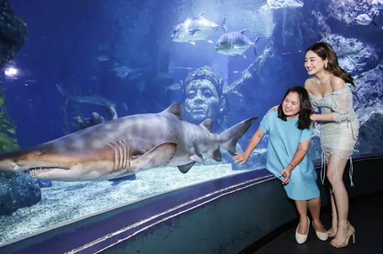 ซีไลฟ์ แบงคอก ส่ง “Message from the Sea…บอกรักจากท้องทะเล” ชวนทุกครอบครัวร่วมสร้าง 'ช่วงเวลาคุณภาพ’ ให้พ่อแม่อบอุ่นใจไปด้วยกัน