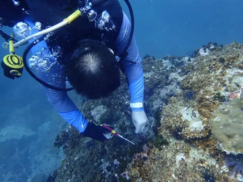 เทรนด์ใหม่วัยรุ่นไทย กับ 3 ไอเดียเที่ยวสนุกแบบอนุรักษ์ท้องทะเล ช่วยเซฟชีวิตพันธุ์สัตว์น้ำอย่างยั่งยืน