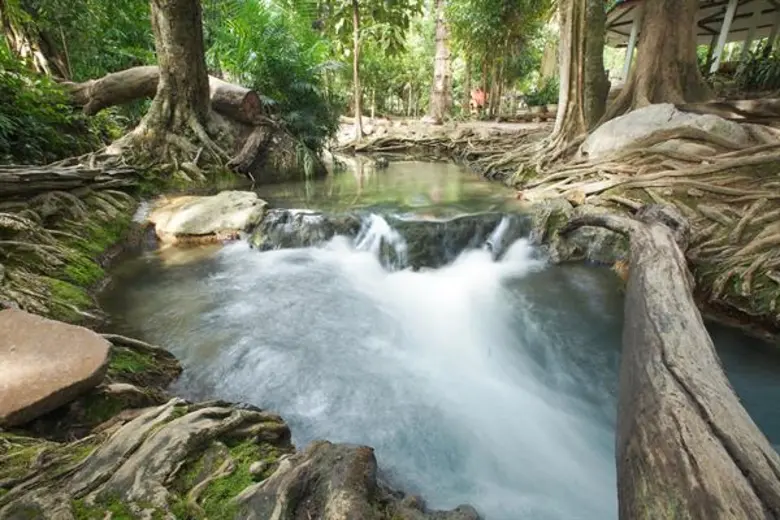 เชิดชูศาสตร์แห่งศิลป์ถิ่นครูช่างสโลว์ไลฟ์เมืองไม้งามลือนามแดน "สยามทิวลิป"