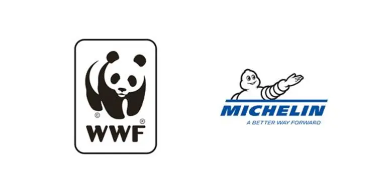 ความก้าวหน้าของการปฏิบัติงานภายใต้การร่วม...