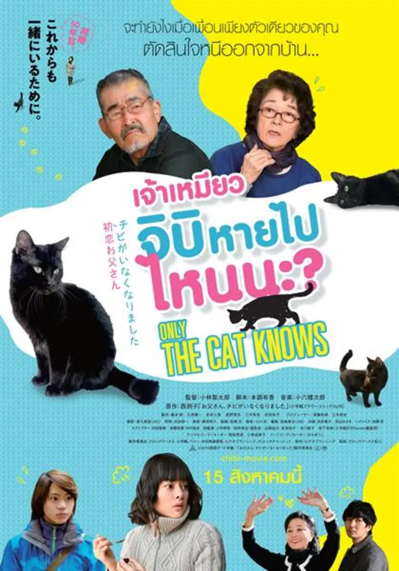 4 เหตุผลที่ น้องแมวชอบ หนีออกจากบ้าน เตรียมตัวให้พร้อมก่อนไปดู Only the cat knows เจ้าเหมียวจิบิหายไปไหนนะ