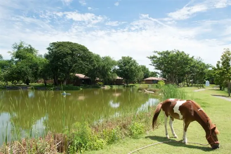 วิชชิ่งทรี ขอนแก่น รีสอร์ท ต้อนรับวันแม่แห่งชาติจัดโปรโมชั่นสุดพิเศษ “Happy Mother’s Day”1 – 15 สิงหาคม 2562