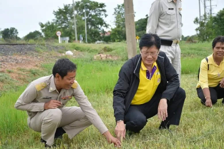 นายประสงค์ ประไพตระกูล อธิบดีกรมการข้าว เ...