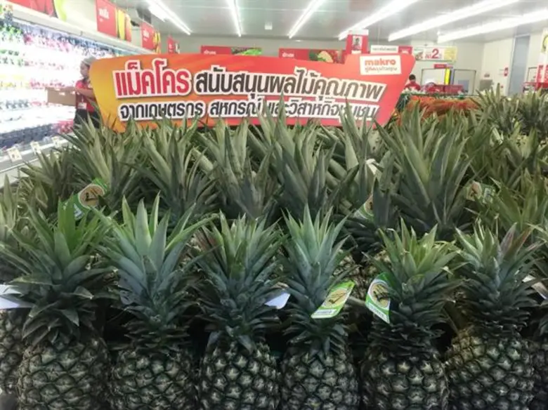 แม็คโคร เดินหน้าแผนธุรกิจ บุกขยายสาขาในภา...