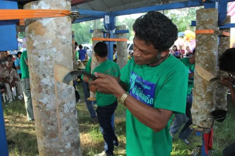 กยท. จัดงานมหกรรมยางพาราฯ โชว์ของดีเขตใต้ตอนกลาง มุ่งพัฒนา – แลกเปลี่ยนองค์ความรู้ ยกระดับวงการยางไทย