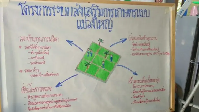 เกษตรอำเภอเขาย้อย จัดทำบันทึกข้อตกลง (MOU) เชื่อมโยงตลาดข้าวเปลือกพันธุ์ปทุมธานี 1