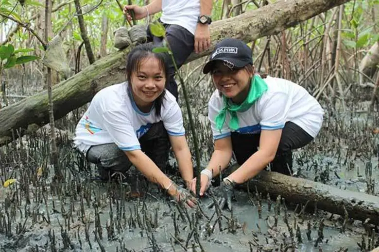 ภาพข่าว: ไทเชฟ สนับสนุนนักศึกษาปลูกป่าชายเลน