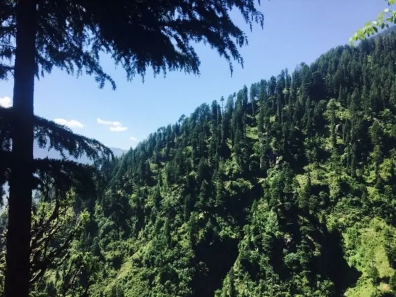 Airbnb เผยกิจกรรมเดินป่ายอดนิยมในภูมิภาคเอเชียแปซิฟิก