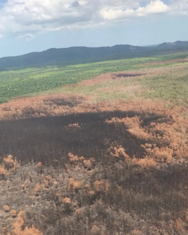 ทส. สนธิกำลังเร่งแก้ปัญหาไฟป่าพรุควนเคร็ง