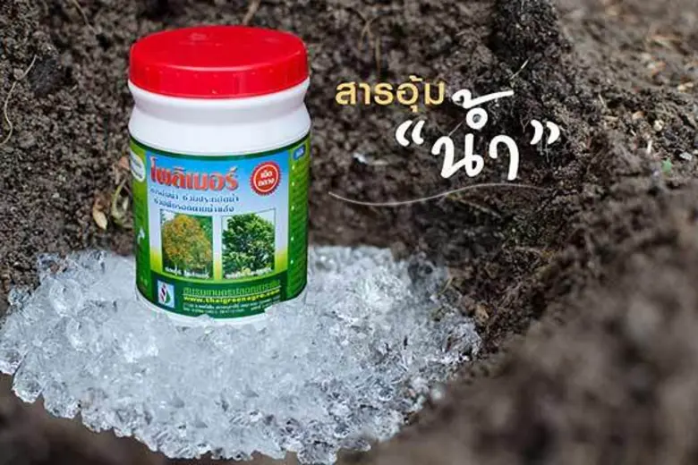 ชมรมเกษตรปลอดสารพิษ ภายใต้ บริษัท ไทยกรีน...