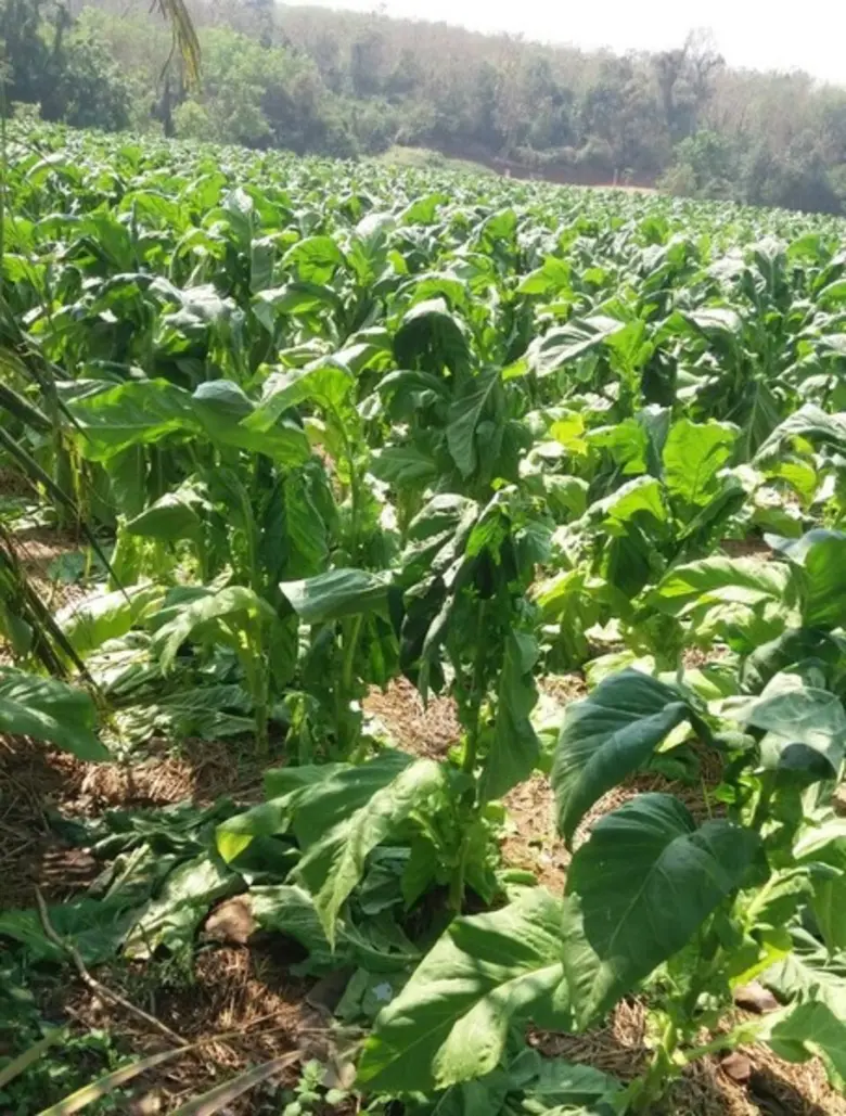 การประชุมสภาผู้แทนราษฎรเมื่อวันพุธที่ 14 ...