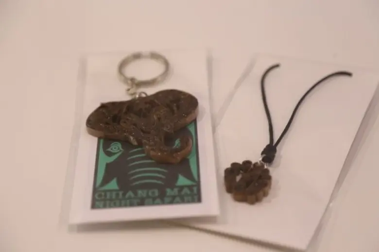 นักเรียนโรงเรียนสันป่าตองวิทยาคม เชียงใหม่ และผู้ประกอบการชาวอุตรดิตถ์ คว้ารางวัลชนะเลิศการประกวดออกแบบของที่ระลึก จากวัสดุธรรมชาติของเชียงใหม่ไนท์ซาฟารี