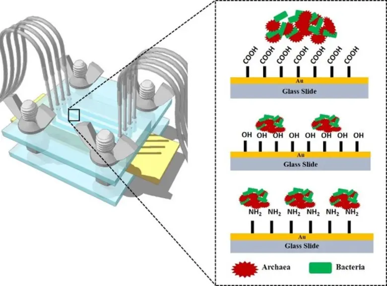 โดยทั่วไป การบำบัดน้ำเสียเพื่อผลิตเป็นก๊า...