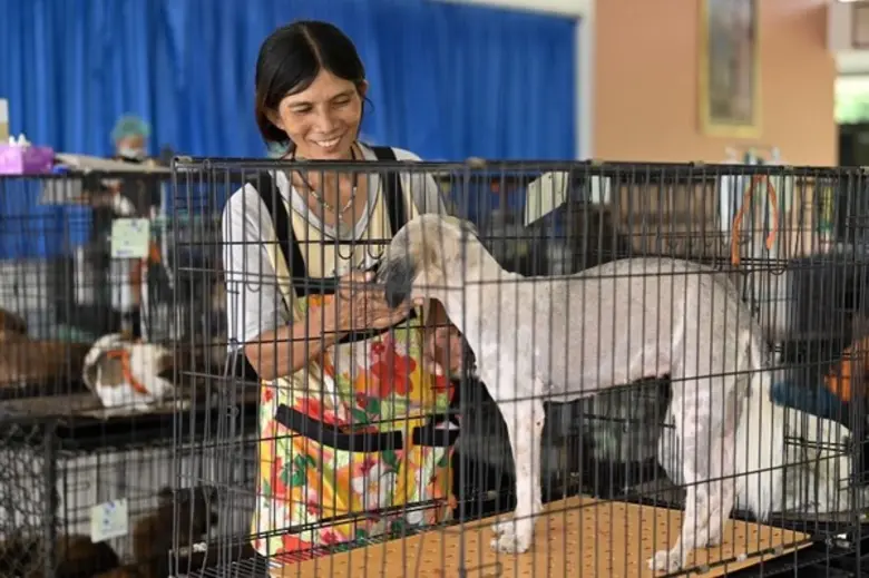 ครั้งแรก! ซอยด๊อก จับมือกองทัพคุมหมาจรด้วย CNVR