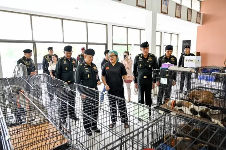 ครั้งแรก! ซอยด๊อก จับมือกองทัพคุมหมาจรด้วย CNVR