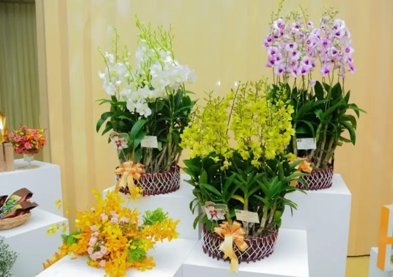 นายสำราญ สาราบรรณ์ อธิบดีกรมส่งเสริมการเก...