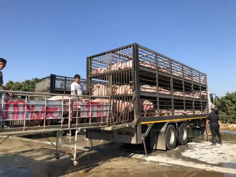 'ประภัตร’ ลุยตรวจด่านชายแดนไทย-กัมพูชา เข้มสกัดโรคอหิวาห์ในหมู