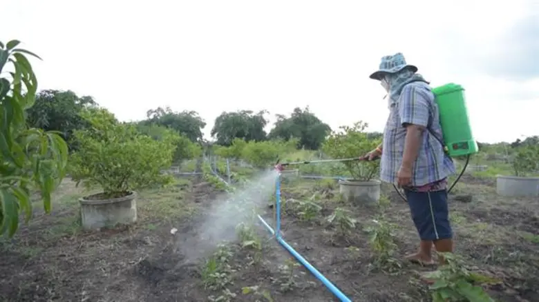 ไส้เดือนฝอยสายพันธุ์ไทย มือปราบศัตรูพืช
