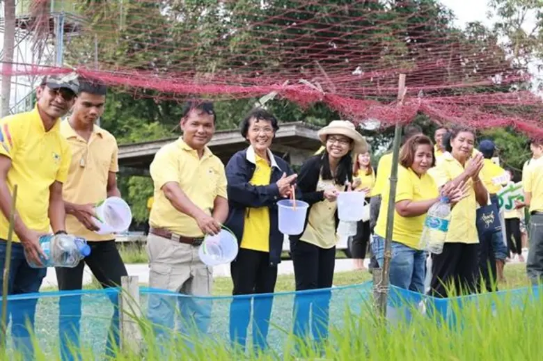 นาสร้างสุข สร้างสุขนอกกรอบด้วยศาสตร์พระราชา