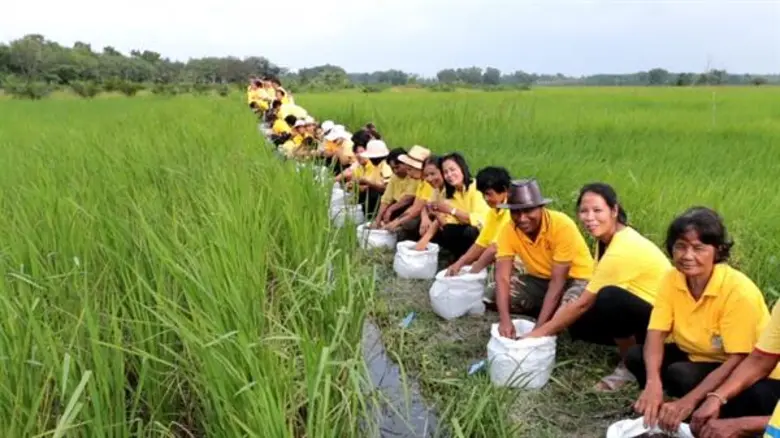 นาสร้างสุข สร้างสุขนอกกรอบด้วยศาสตร์พระราชา