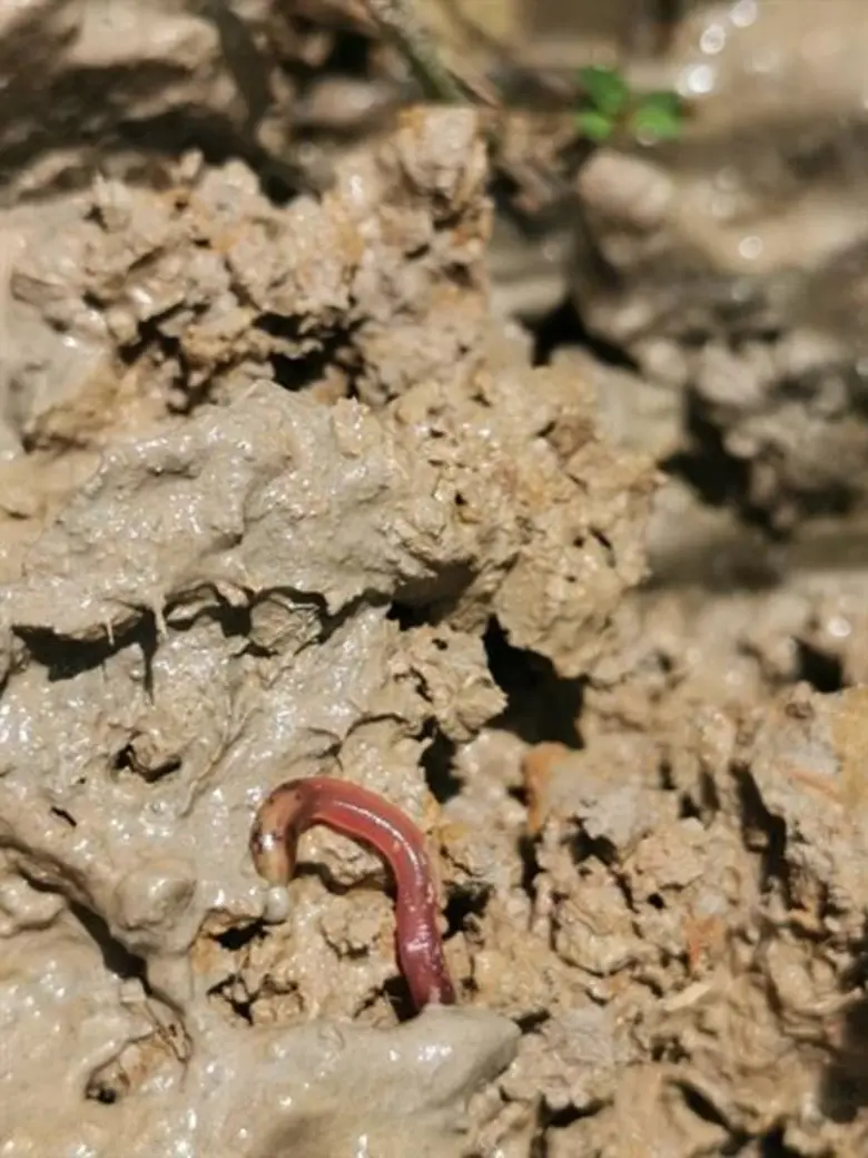 นาสร้างสุข สร้างสุขนอกกรอบด้วยศาสตร์พระราชา