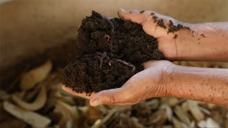 ทีวีไกด์: รายการ "ไทยทึ่ง" “แชมป์” พาทึ่ง “สปาไส้เดือน” จ.แพร่ ไอเดียสุดแปลก แห่งแรกและแห่งเดียวในเมืองไทย!!!!