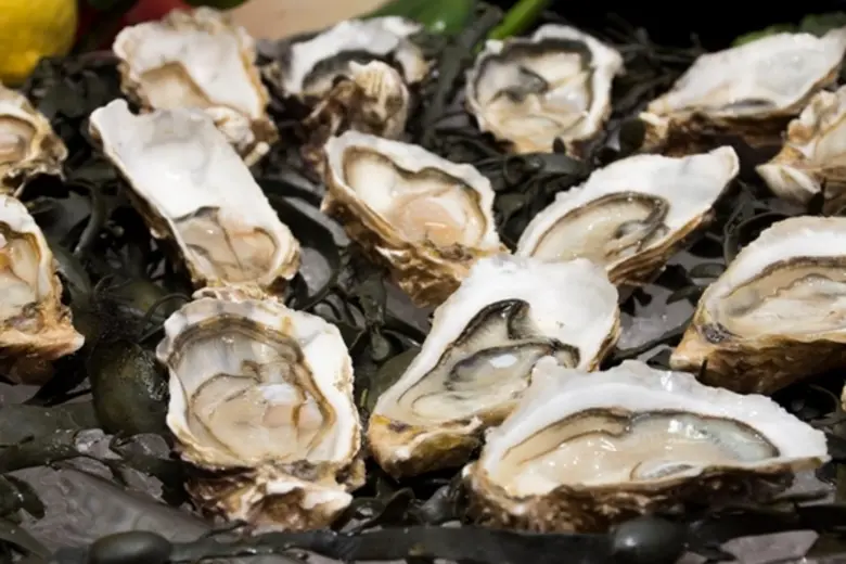 อย่าให้เทศกาลคริสต์มาสและปีใหม่เป็นแค่อีก...