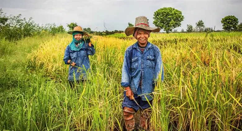 ดัชนีผาสุกเกษตรกร ปี 61 พัฒนาดีขึ้น เพิ่มอยู่ที่ระดับ 80.29 พร้อมเดินหน้าพัฒนาคุณภาพชีวิตเกษตรกรรอบด้าน อย่างต่อเนื่อง
