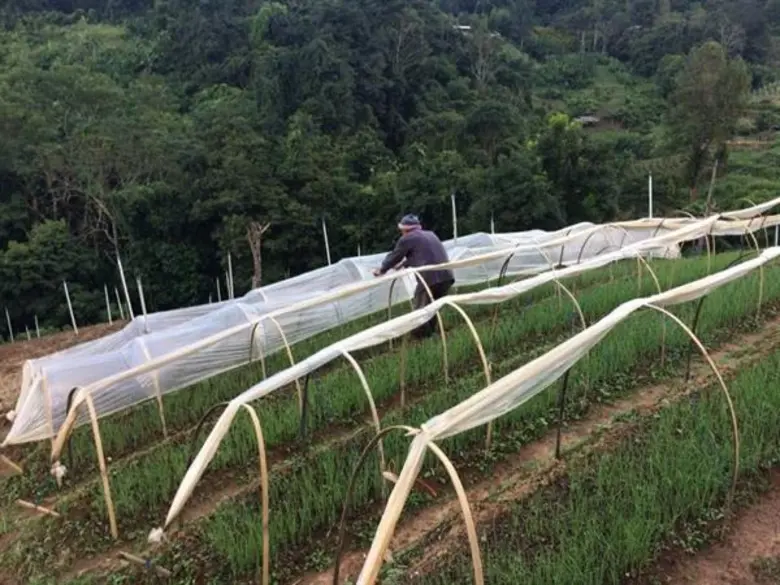 ดัชนีผาสุกเกษตรกร ปี 61 พัฒนาดีขึ้น เพิ่มอยู่ที่ระดับ 80.29 พร้อมเดินหน้าพัฒนาคุณภาพชีวิตเกษตรกรรอบด้าน อย่างต่อเนื่อง