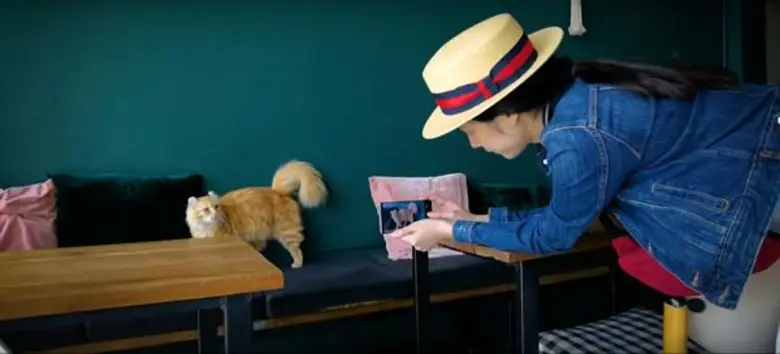 คุณไม่ได้กลับบ้านนานแค่ไหนแล้ว? “Hometown with My Mate” ชวนคุณกลับบ้านไปหาคนรู้ใจในช่วงเทศกาลปีใหม่นี้