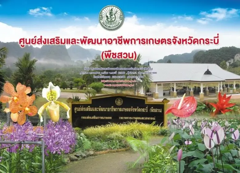 กรมส่งเสริมการเกษตรเปิดแหล่งท่องเที่ยว 21 แห่ง ส่งสุขปีใหม่ให้บริการเกษตรกรและประชาชน