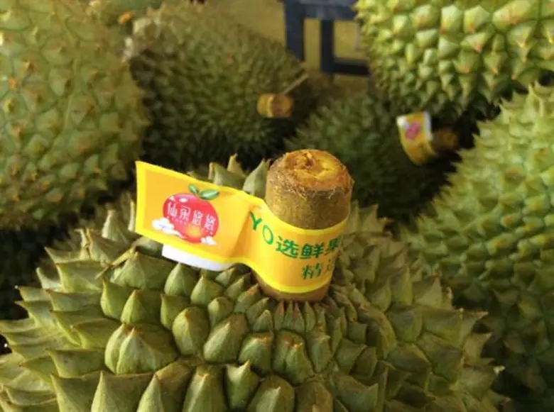 สวพ.6 ปรับกลยุทธ์รับมือฤดูกาลส่งออกผลไม้ภาคตะวันออกปี 63