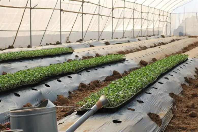 นายพลเชษฐ์ ตราโช รองเลขาธิการสำนักงานเศรษ...