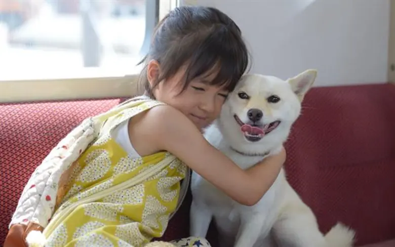 “ หนูรู้ไหม ? หมานะ ....จะมีอายุอยู่ได้แค่ 10 หรือ 15 ปี เท่านั้นนะ ...” จากเรื่องสั้นที่สร้างปรากฏการณ์น้ำตาซึมในญี่ปุ่น สู่ภาพยนตร์เรียกน้ำตา Show Me The Way To The Station